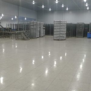 WhatsApp Image 2022-05-31 at 3.18.56 PM